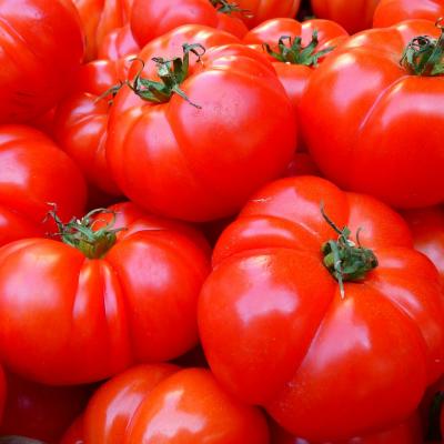 Tomatoes 5356 1280